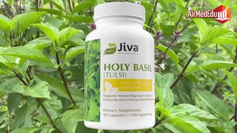 45 Benefits of Holy Basil