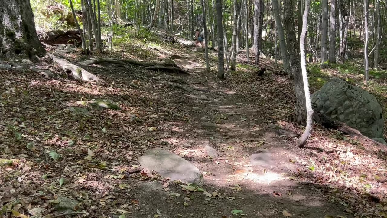 White Mountains - Boulder Loop Trail Day Hike