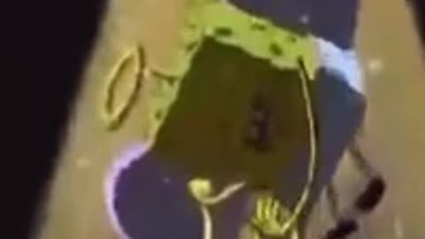mr crab sdiybt