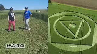 🌾👽 Crop Circles in Iguaçu, Brazil! | TheTruthAbove