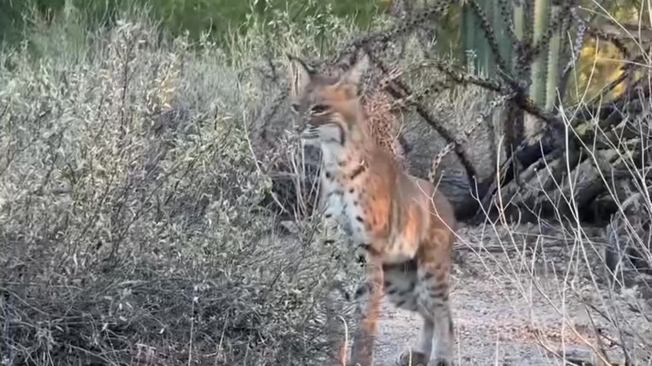 Hello you!