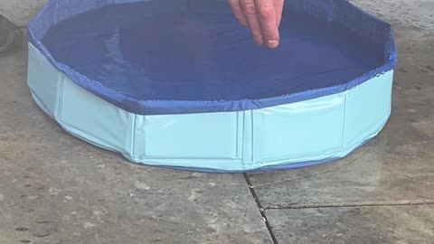 He’s Not a Pool Boy