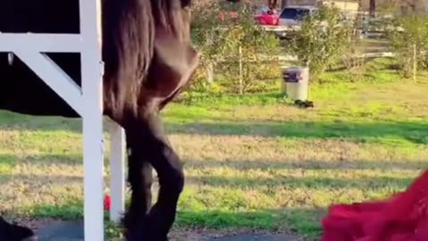Funny 😂 viral video