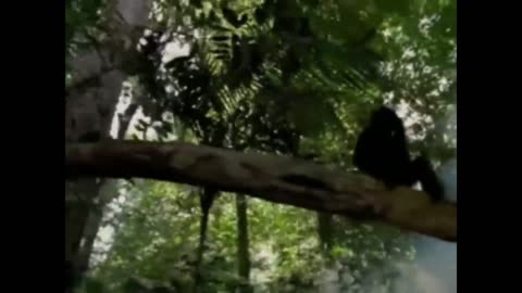 Musicas para curtir enquanto trabalha.