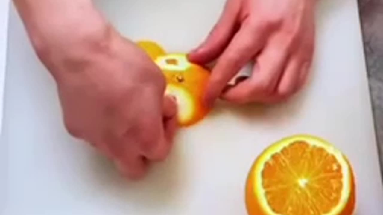 Orange animal