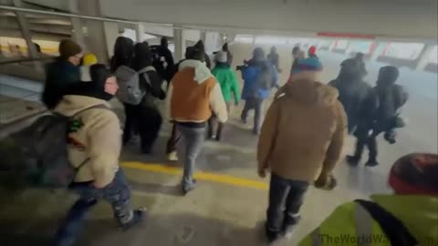 Anti-ICE rioters just BEAT an ICE supporter