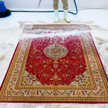 Pretty Rug: The Black And White Square Carpet Is Hypnotic Again After Washing #shorts #satisfying