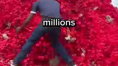 Win 10000$