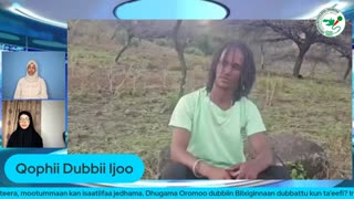 Qophii Dubbii Ijoo ONM-ABO Waxaabaajjii 17-2025 itti dhiyaadhaa!