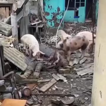 Ukraine war combat footage 8/12/25