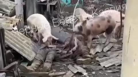 Ukraine war combat footage 8/12/25