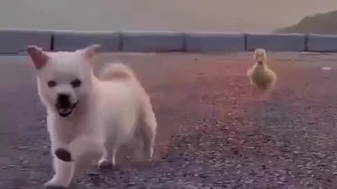 A Friend in Need is A Friend Indeed