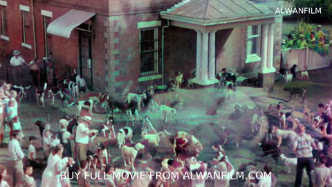 A Face in the Crowd 1957 Colorized