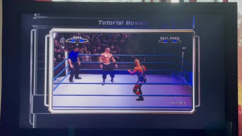 Learn How Play Smackdown Vs Raw