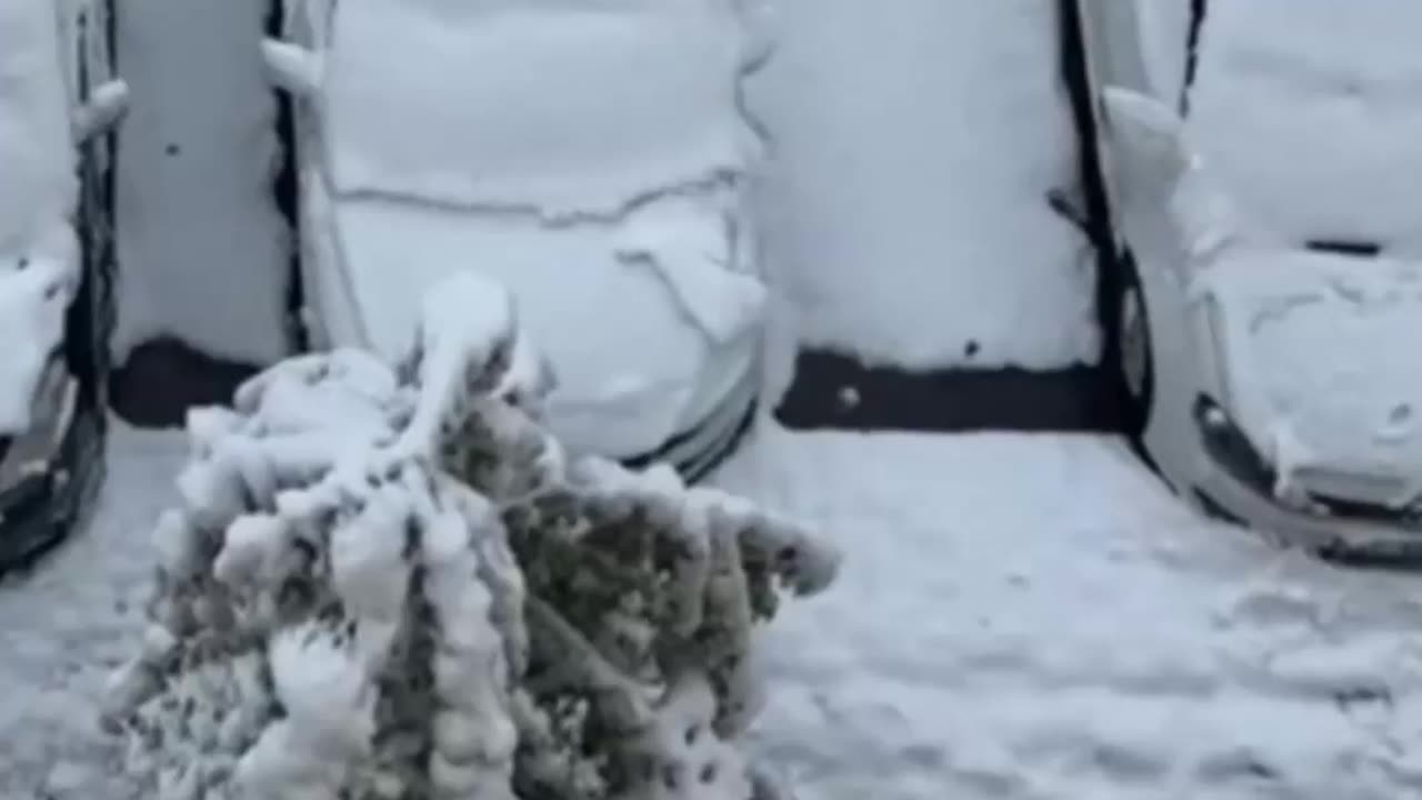 TURECKO: ZIMA O MĚSÍC DŘÍVE 12.10.2025