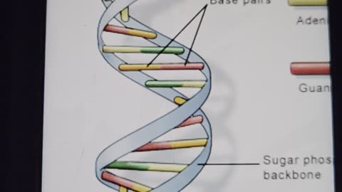 What is DNA with Eden's LivingTV