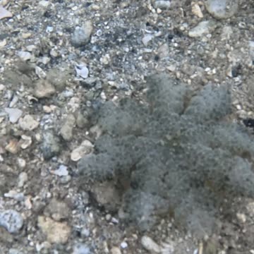 Any Day Snorkeling Is A Good Day!!