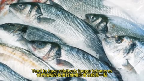 逆轉時光 延緩衰老
