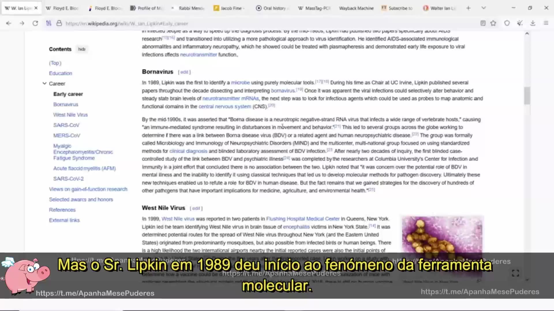 Judeus, vírus e vacinas 2 (Legendado)