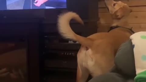 😂📺 You Won't Believe Who He Recognizes on TV! | FunFM