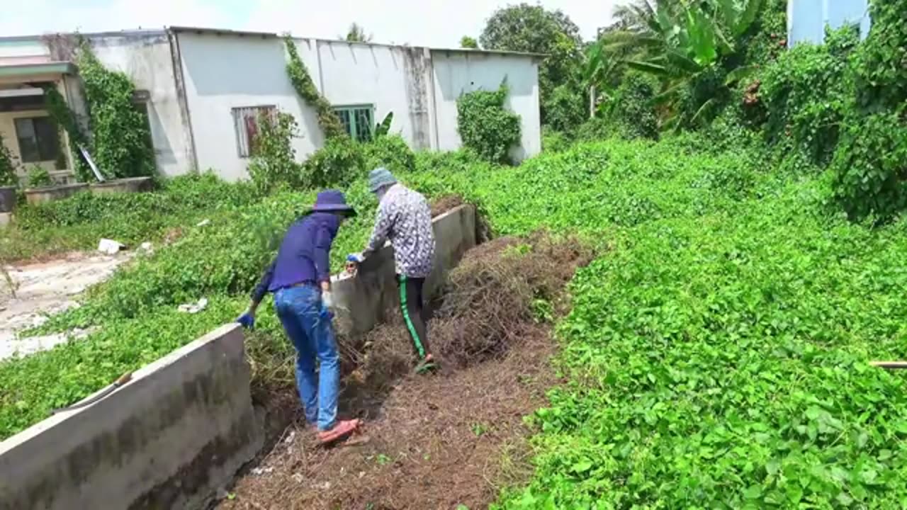 Cleaning