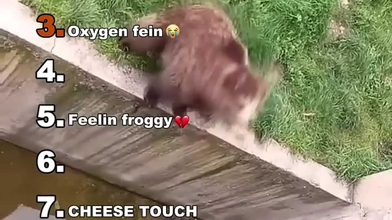 Funniest Medazelli🤣#ranking #medazelli