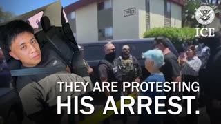 WATCH: Blue-haired leftist in San Diego snatches the mask off of an ICE agent