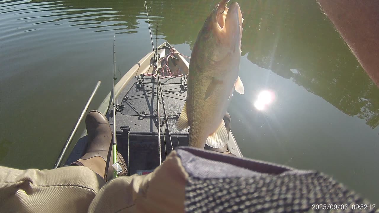 Nice bass, 5' deep, Craw lure