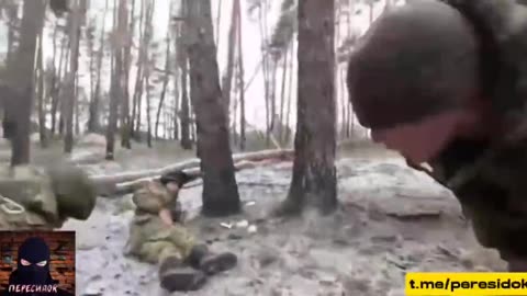 The best from the SVO archives