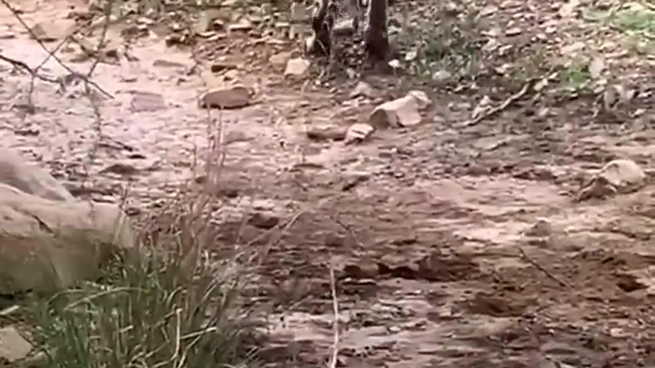 Damn Nature you scary