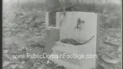 Bombing of Hiroshima WWII Enola Gay Public Domain Archival Stock Footage