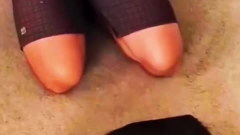 Clip Nose técnica para relaxar felinos