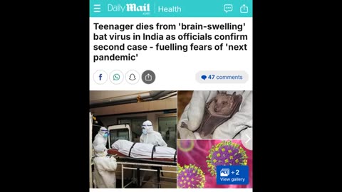 Fear the bat virus - fuelling fears of the next pandemic