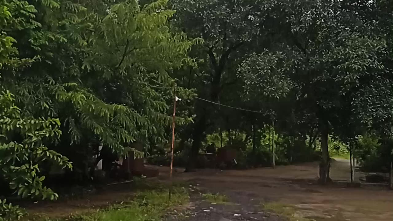 🌧 rain