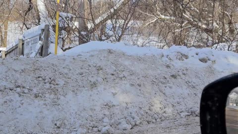 Loose Pony Messes With Amish Buggy