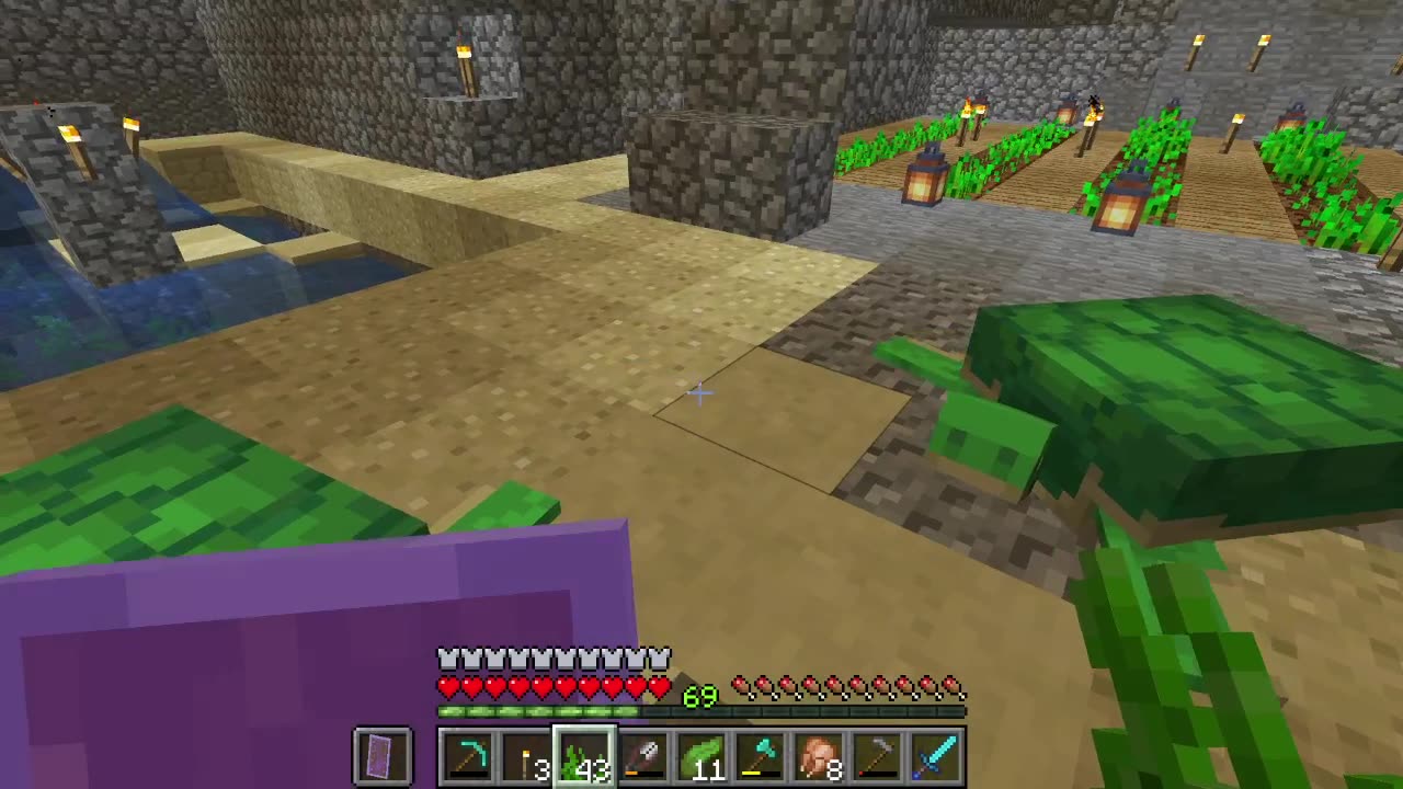 Turtle Helm Doom Part 3
