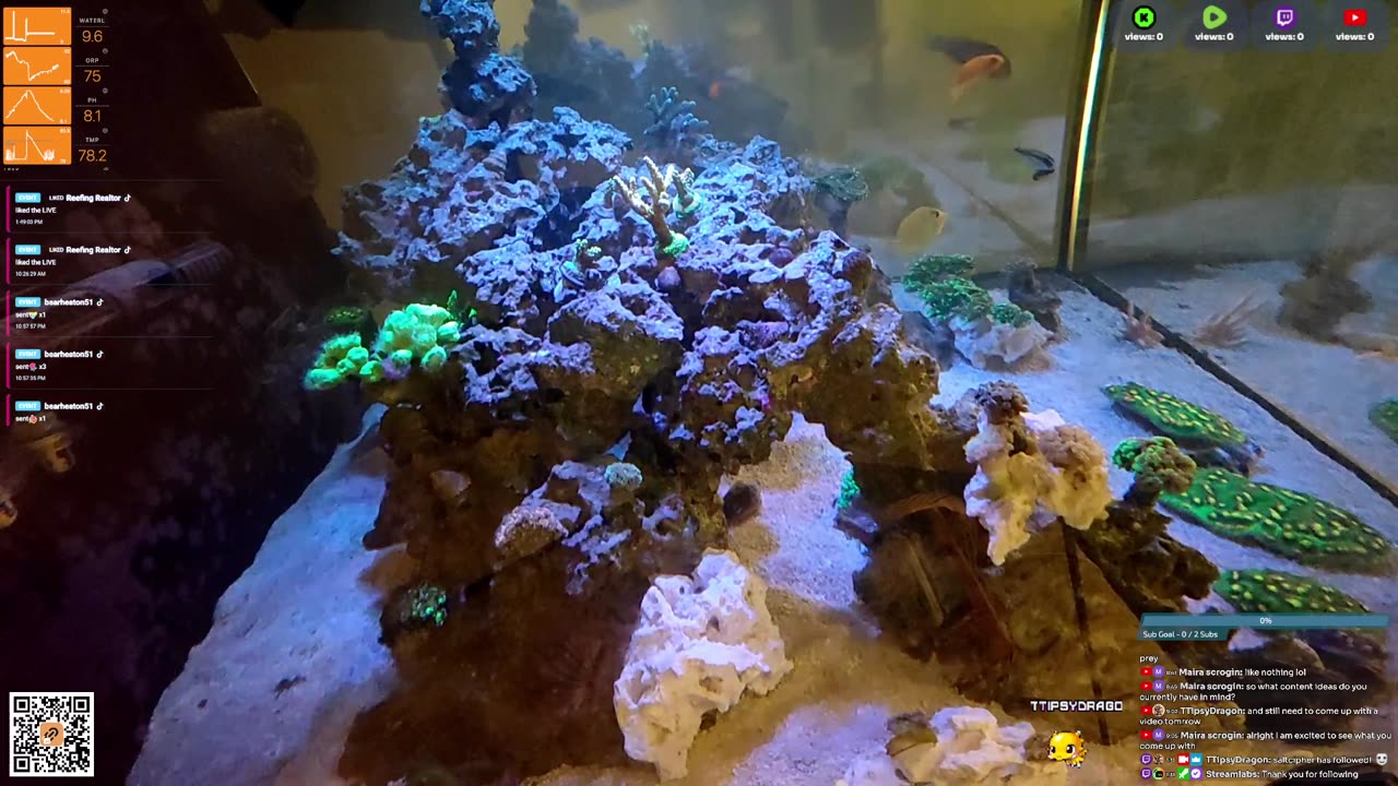 24/7 Real Live Reef Stream