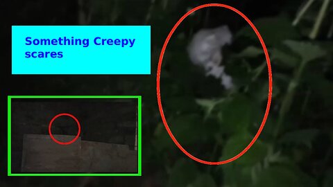 Creepy creatures captured on camera | Strange creatures