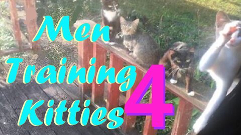 Men Training Kitties 4