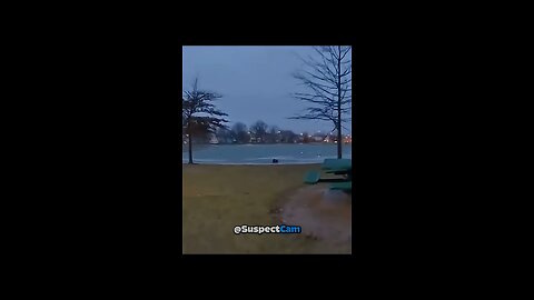 He saves two dogs in a lake and the end is heartwarming