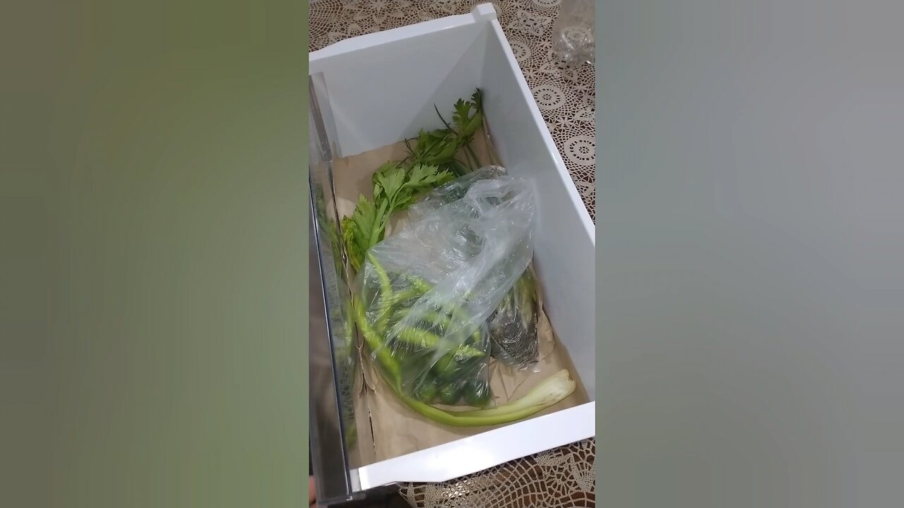 Northpaul Episode 582