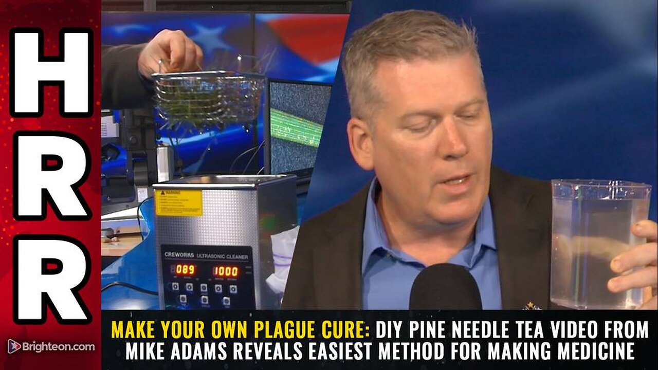 DIY pine needle tea video from Mike Adams reveals easiest method for making medicine