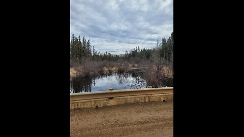 April 14, 2025 - Setting up for spring beaver