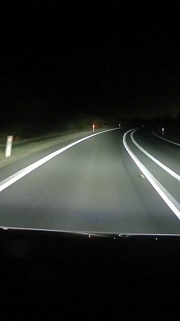 Kangaroo on the road at night in Australia 🇦🇺