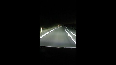 Kangaroo on the road at night in Australia 🇦🇺