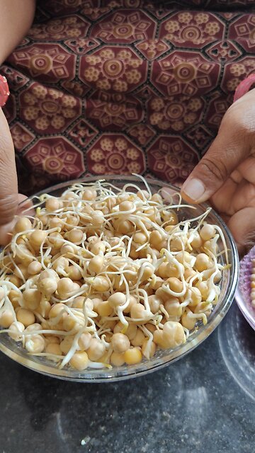 Peas Sprouting without using clothes #peas#sprouting#sprouts