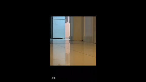 the best funny video is here #funnyvideo
