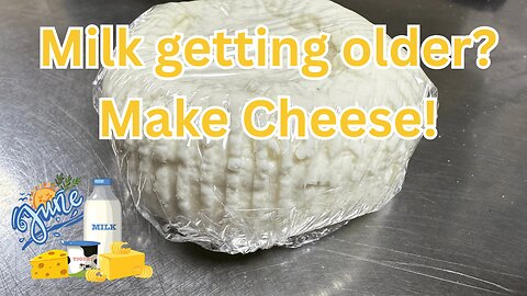 Cheese Rescue! Making Soft Cheese from Aged Goat Milk