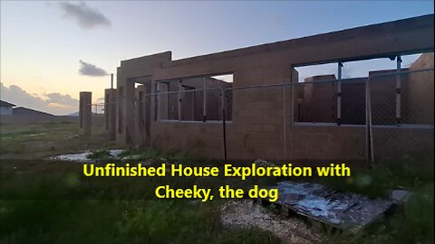 Unfinished House Exploration with Cheeky the dog