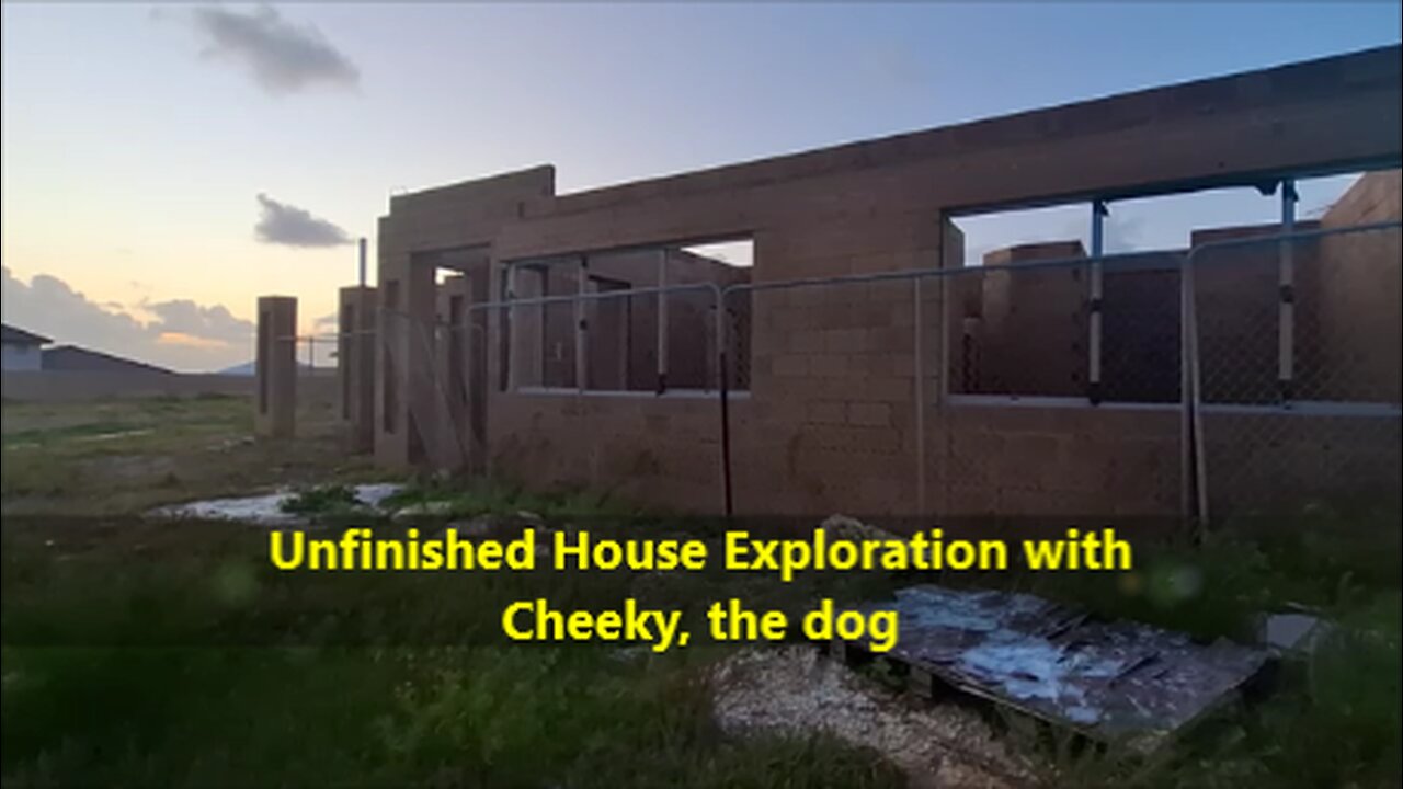 Unfinished House Exploration with Cheeky the dog